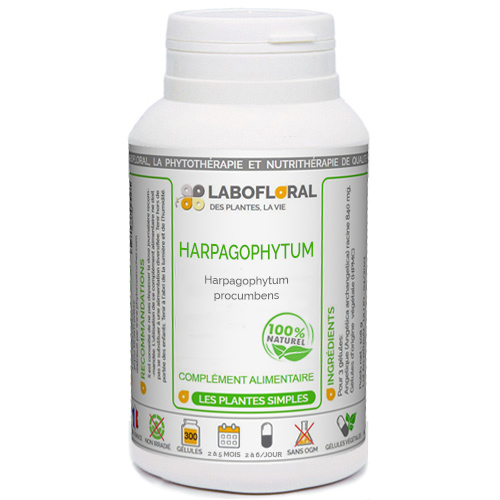 Harpagophytum Labofloral 