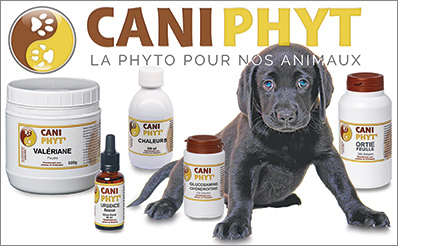 La Phyto pour vos chiens et chats !