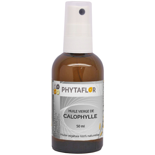 Calophylle Huile Végétale Phytaflor