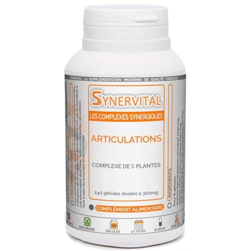 Articulations Synervital