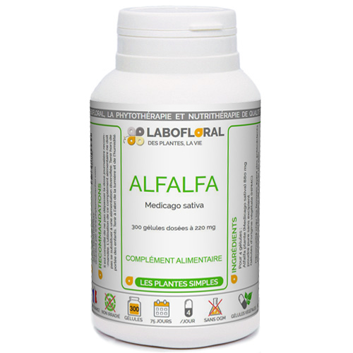 Alfalfa plante Labofloral