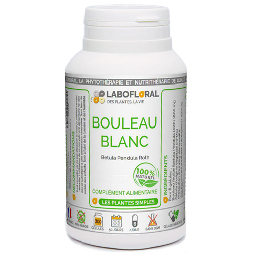 Bouleau Blanc Labofloral