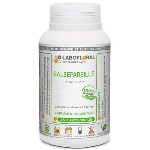 Salsepareille Labofloral.