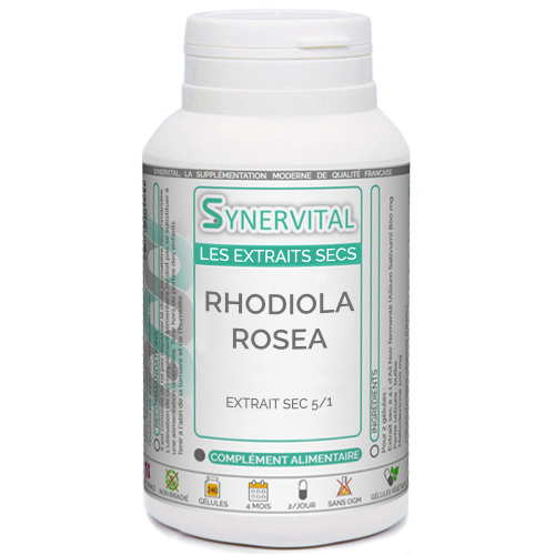 Rhodiola Rosea Extrait naturel Synervital