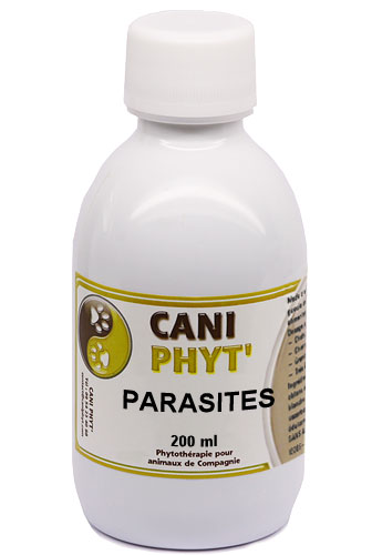 Parasites CANI PHYT